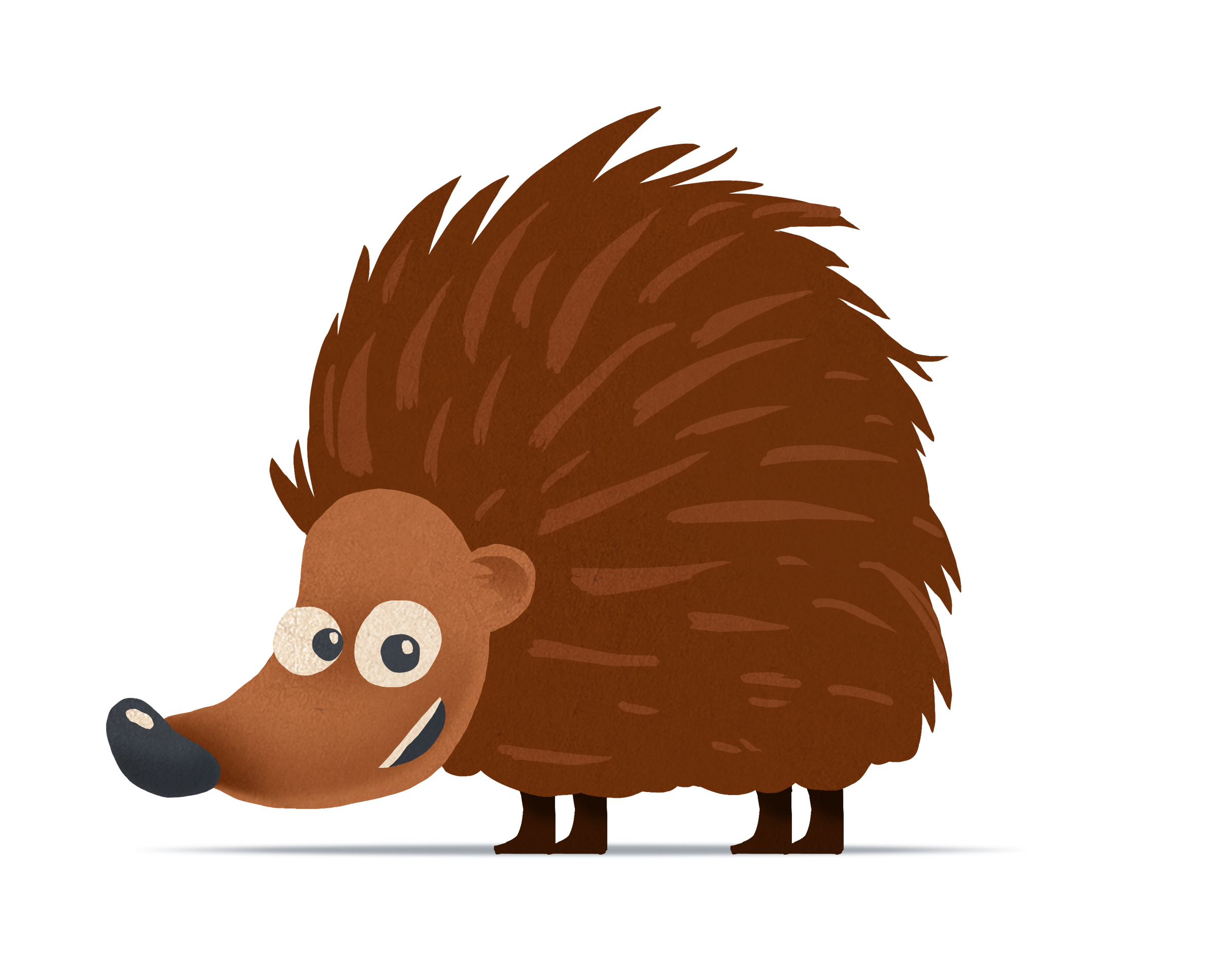 egel-met-schaduw-png-1.png
