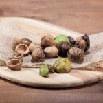 Gewone walnoot - Juglans regia