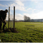 Aanplanten, hoe doe je dat?